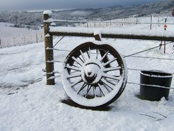 Snow at Rangeland